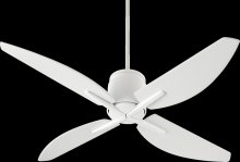 Ceiling Fans