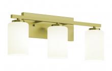 AFX Lighting, Inc. LEOV2209MBLB - Leo 22'' Med Base Vanity,120V,LB