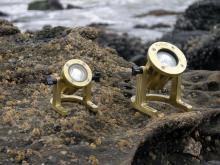 Focus Industries (Fii) SL-33-AC - Brass Underwater Light