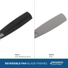 PROG_P250095-009-WB_blades.jpg