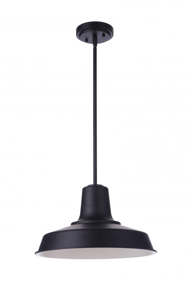 Briscoe 1 Light 15" Outdoor Pendant in Midnight