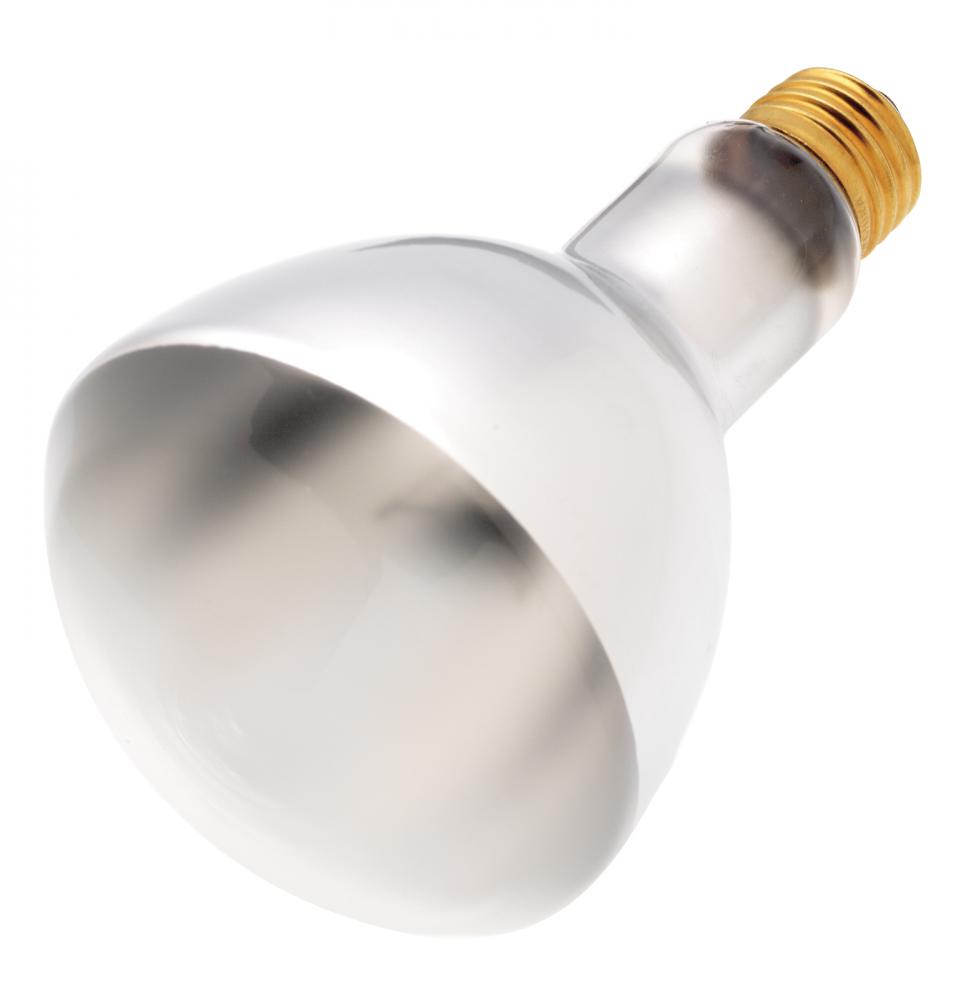 50 Watt ER30 Incandescent; Frost; 2000 Average rated hours; 310 Lumens; Medium base; 130 Volt