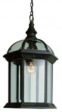 Trans Globe 4183 RT - Wentworth 1-Light Atrium Style Outdoor Hanging Pendant