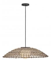 Hinkley 10395BK - Large Hanging Pendant