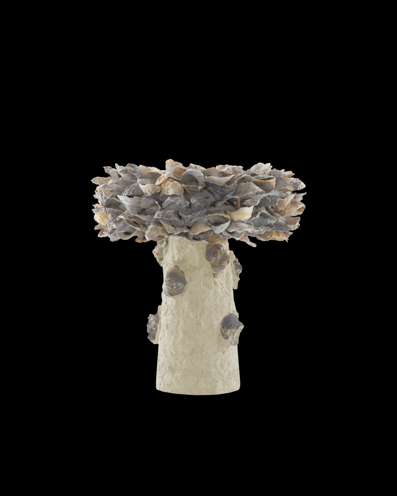 Oyster Shell Small Bird Bath